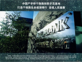 我们的小目标，SCLNOW<sup>®</sup>圣释<sup>®</sup>干细胞如何挣到77.1亿?（中篇）