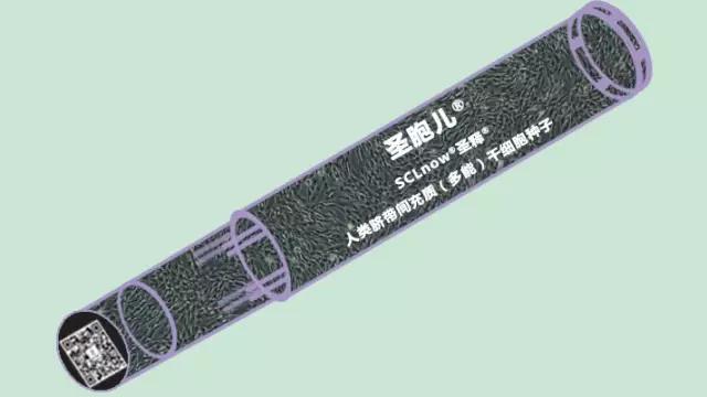 SCLnow<sup>®</sup>圣释<sup>®</sup>实用型干细胞：圣胞儿干细胞种子和释胞儿干细胞产品