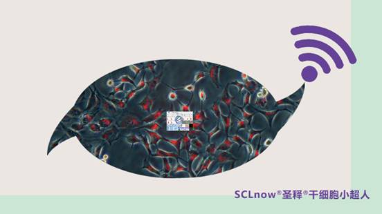 价格的比肩世界昂贵的车——释胞儿<sup>®</sup>干细胞小超人