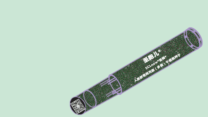 SCLnow<sup>®</sup>圣释<sup>®</sup>圣胞儿