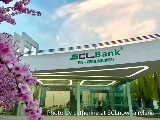 SCLnow<sup>®</sup>圣释<sup>®</sup>教你一招告别“油腻大叔”！ ——圣胞儿<sup>®</sup>