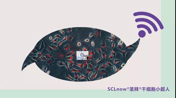 人类实现永生？释胞儿<sup>®</sup>将成为终极钥匙？!