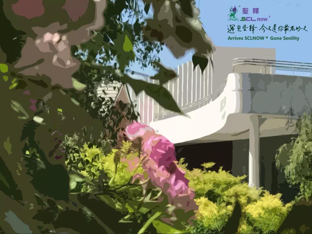 遇见SCLnow<sup>®</sup>圣释<sup>®</sup> 是你最老的一天