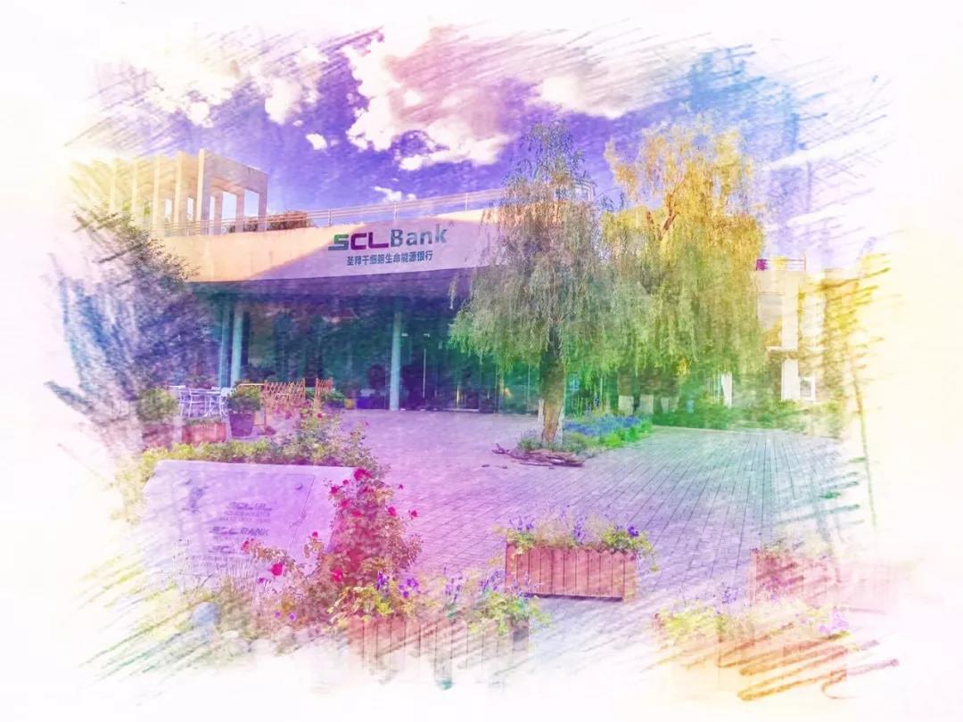 SCLnow<sup>®</sup>圣释<sup>®</sup>—秋日胜春朝