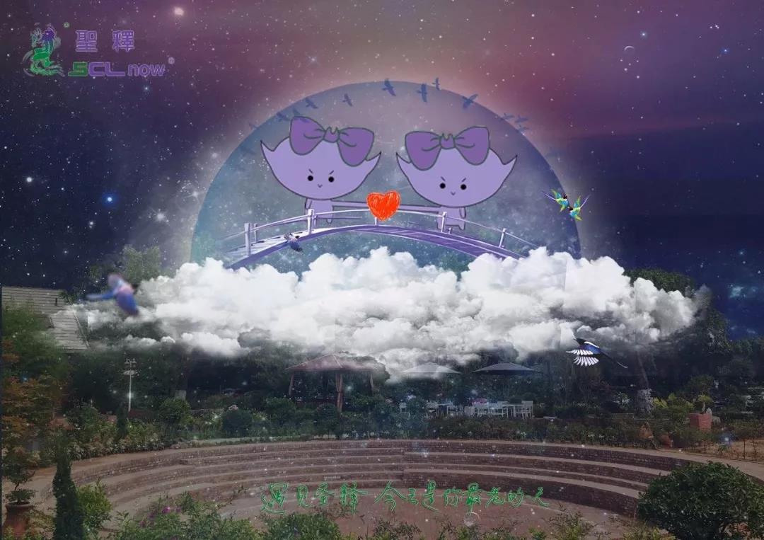 圣胞儿带你找回最美时刻，永存爱情珍贵的结晶