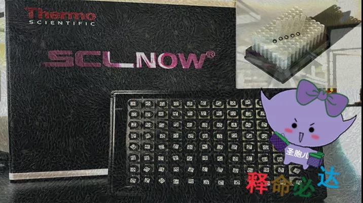 圣胞儿<sup>®</sup>全球冷链运输及火星人管理
