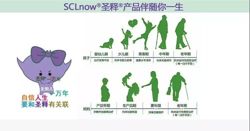 生命的馈赠——圣胞儿<sup>®</sup>，延续幸福的种子。 一枕新凉一扇风