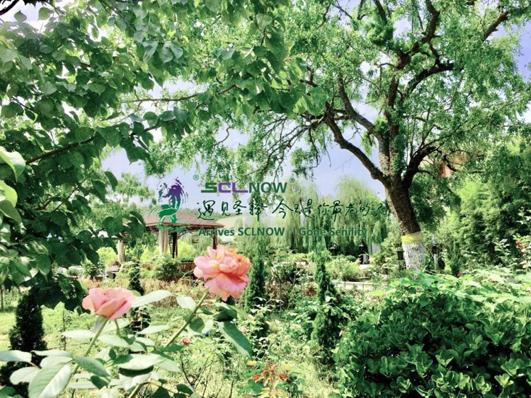 假期哪里都是人山人海，不知道去哪里？看了你就知道