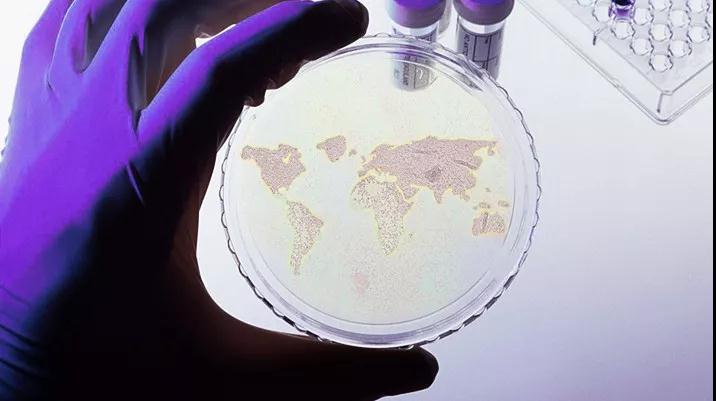 ISO/TC276国际干细胞标准，拨开雾霾下的干细胞乱象