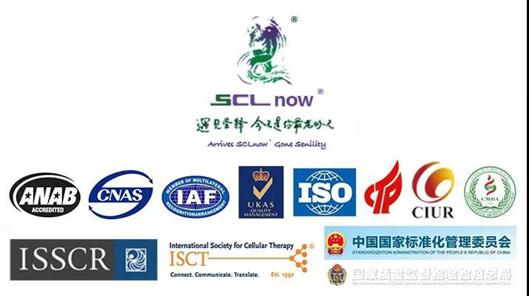 别再让你我许下的共鸣 不约而同怀念曾经