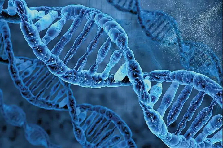 生命科学领域中，请保留一份对生命的敬畏之心，伦理问题大于天！
