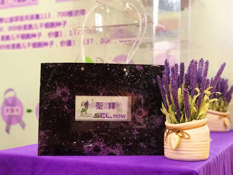 关爱妇幼健康，SCLnow<sup>®</sup>圣释<sup>®</sup>紫飘带公益不忘初心|母亲强儿童强中国强！