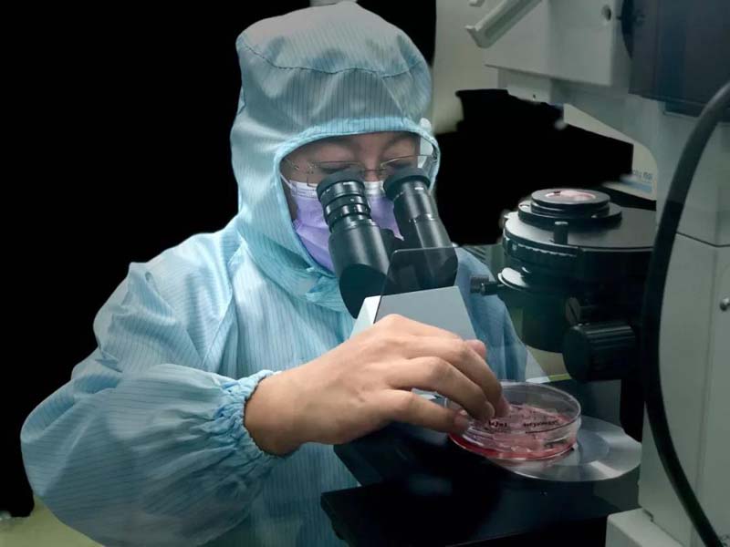 全球首批符合国际标准干细胞产品19#释胞儿在临床应用取得突破