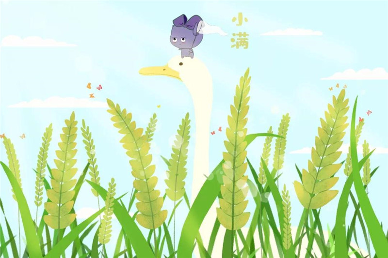 物致虽小得盈满，最是一夏好时光！