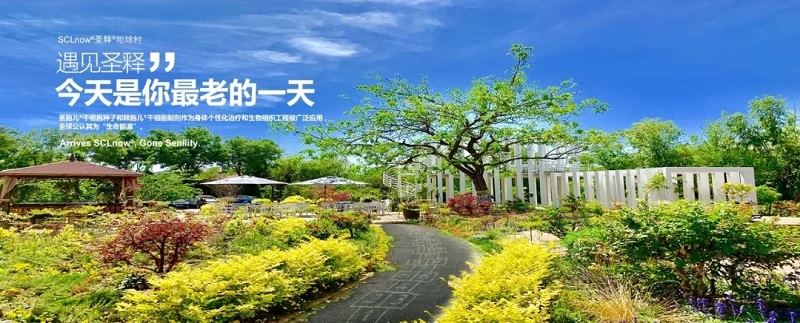 秋天，是生命走过“极致”之后的淡然