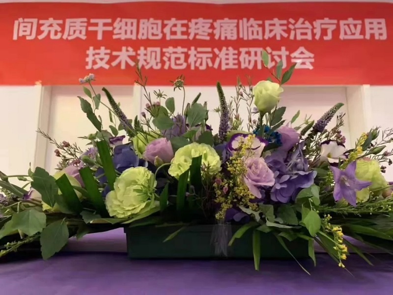 释胞儿<sup>®</sup>干细胞的再生修复功能与疼痛疾病治疗
