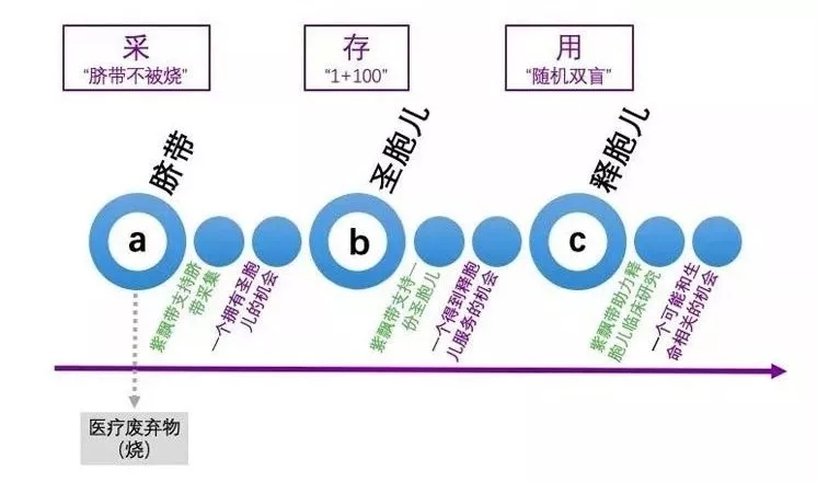 圣释十年，公益十年