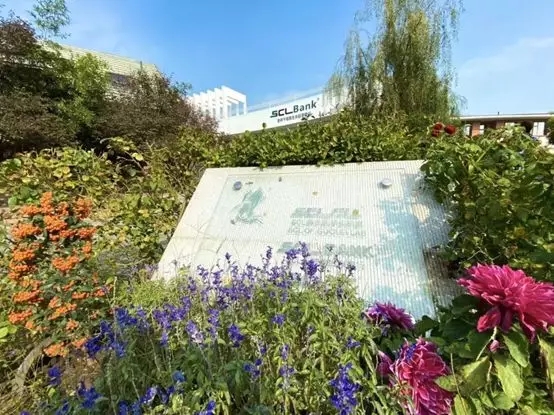 SCLnow<sup>®</sup>圣释<sup>®</sup>——我们一直被模仿，但从未被超越！