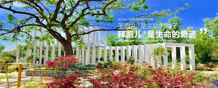 你是否见过SCLnow<sup>®</sup>圣释<sup>®</sup>的冬日？