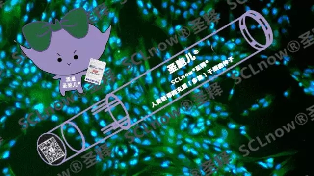存圣胞儿<sup>®</sup>赢得时间的战役