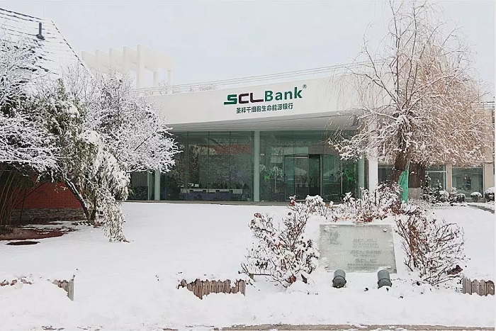 我在圣释园里听见了雪落下的声音