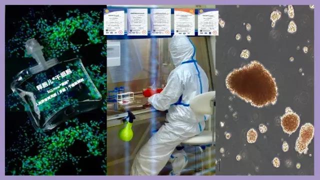 干细胞成为医生疾病治疗（药物、手术）的新技术