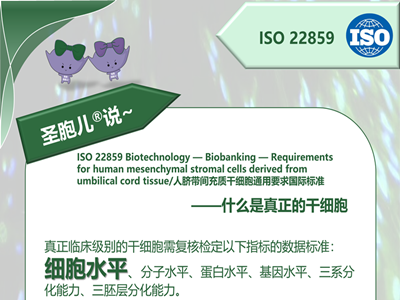 什么是真正的干细胞？之细胞水平