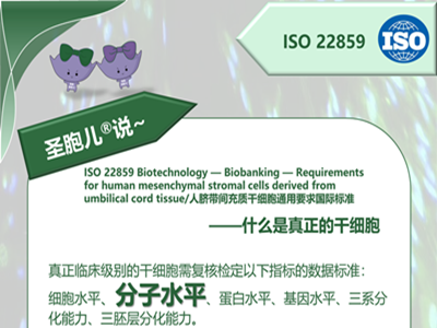 什么是真正的干细胞？之分子水平