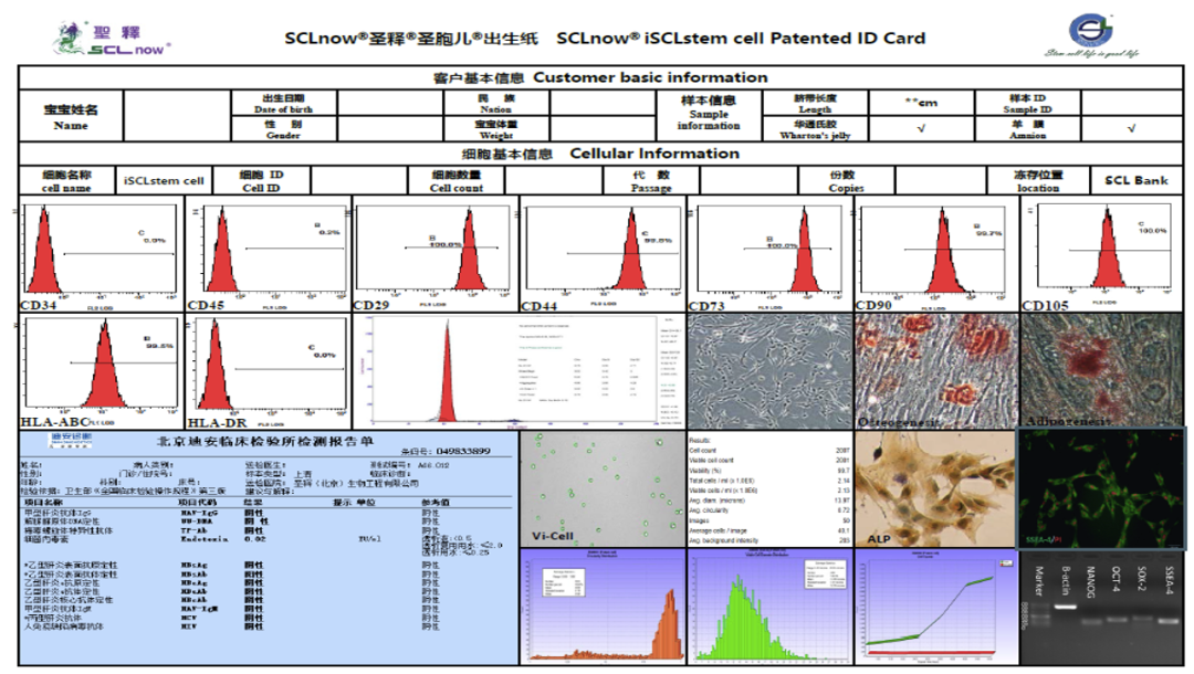 ISO 22859：hUC-MSC技术让生命的种子焕发新活力！