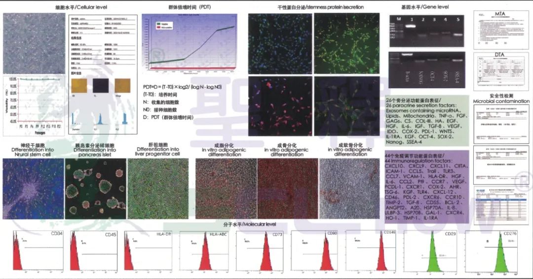 以标准护航，为生命赋能！ISO 22859——hUC-MSCs临床研究与应用的科学依据！